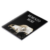Carnet Crâne animal (Côté gauche)