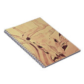 Carnet Crâne de bovins de l'Ouest (Côté Droit)