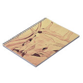 Carnet Crâne de bovins de l'Ouest (Côté gauche)