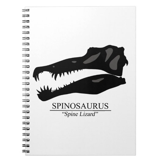 Carnet Crâne de spinosaurus (Devant)
