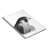 Carnet Crayon de faucon pèlerin (Côté Droit)