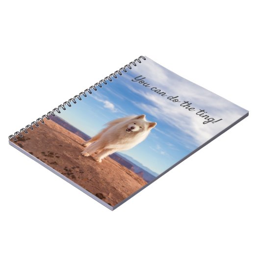 CARNET CRB Cloud (Côté gauche)