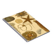 Carnet Créatures sous-marines (Côté Droit)