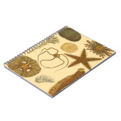 Carnet Créatures sous-marines (Côté gauche)