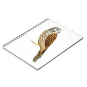 Carnet Crécerelle 2011 (Côté gauche)