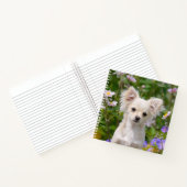 Carnet Crème lounghair mignonne Chihuahua Chien Chiot Chi (Intérieur)
