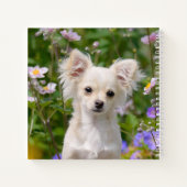 Carnet Crème lounghair mignonne Chihuahua Chien Chiot Chi (Dos)