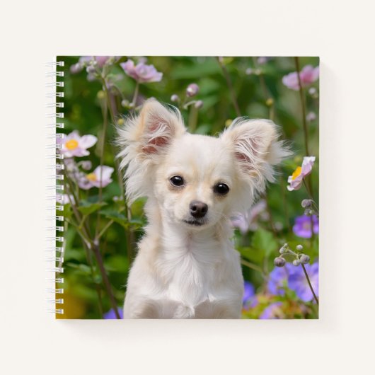 Carnet Crème lounghair mignonne Chihuahua Chien Chiot Chi (Devant)