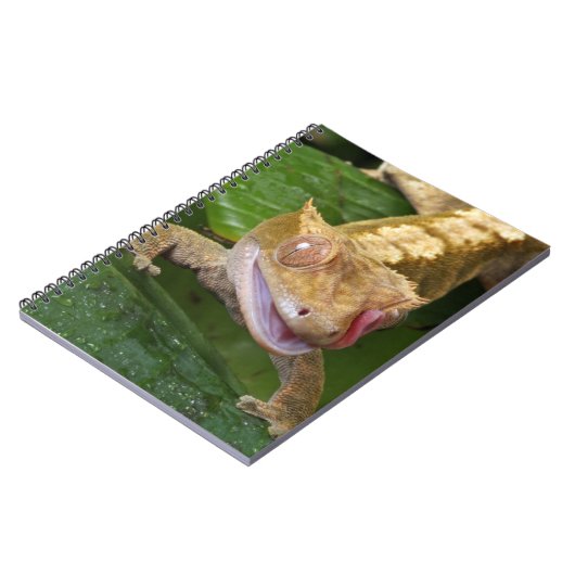 Carnet Crested Gecko (Côté gauche)
