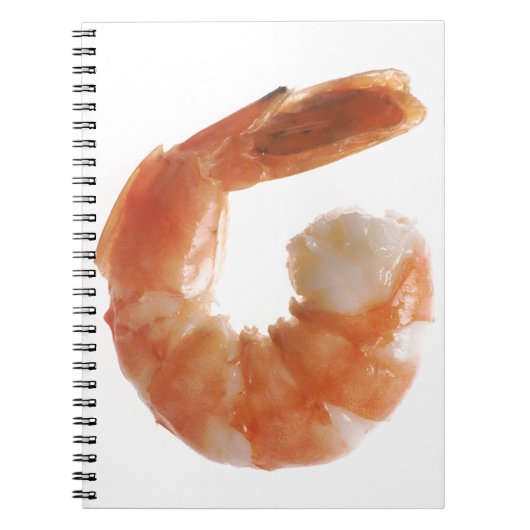 Carnet Crevette cookée (Devant)