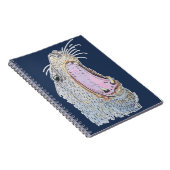 Carnet Cri de phoque (Côté Droit)