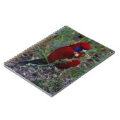 Carnet Crimson Rosella (Côté gauche)