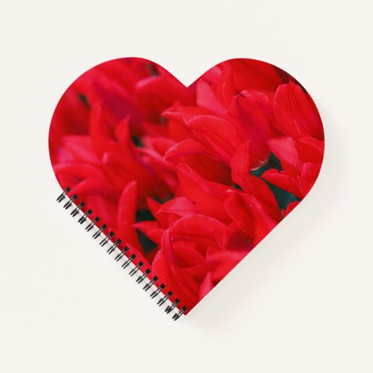 Carnet Crimson Waves (Devant)