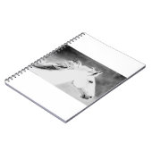 Carnet Crinière de LIN26BW dans le Wind.tif (Côté gauche)