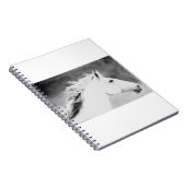 Carnet Crinière de LIN26BW dans le Wind.tif (Côté Droit)