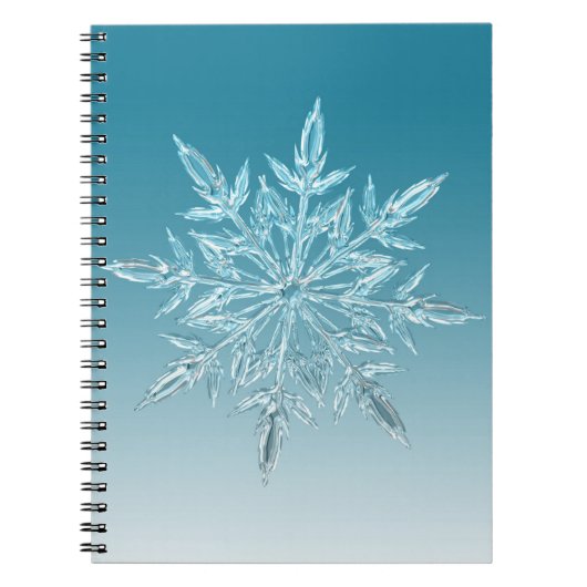 Carnet Cristal de glace bleu (Devant)