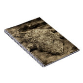 Carnet Crocodile (Côté Droit)