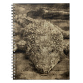 Carnet Crocodile (Devant)