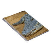 Carnet Crocodile (Côté Droit)
