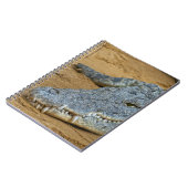 Carnet Crocodile (Côté gauche)
