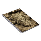 Carnet Crocodile Vintage (Côté Droit)