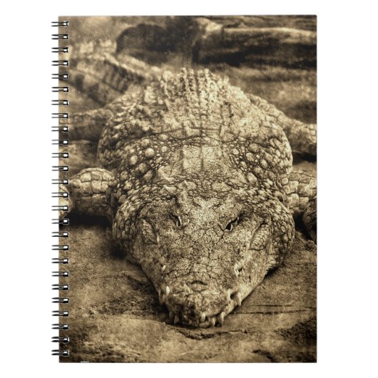 Carnet Crocodile Vintage (Devant)
