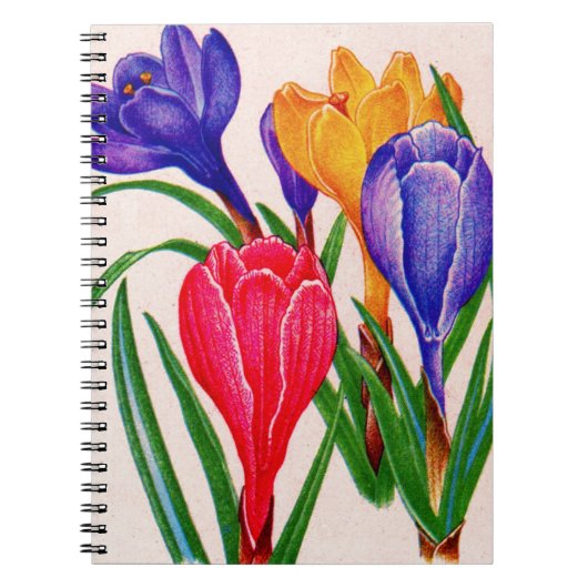 Carnet crocus (Devant)