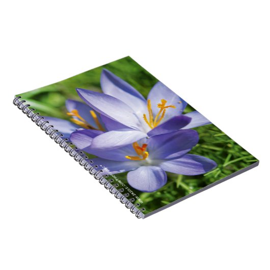 Carnet Crocus (Côté Droit)