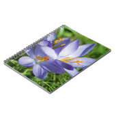 Carnet Crocus (Côté gauche)