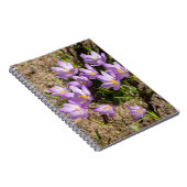 Carnet Crocus de printemps mignons (Côté Droit)