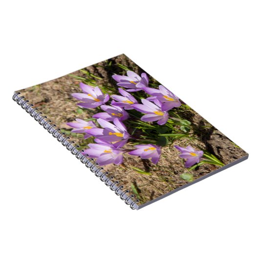 Carnet Crocus de printemps mignons (Côté Droit)
