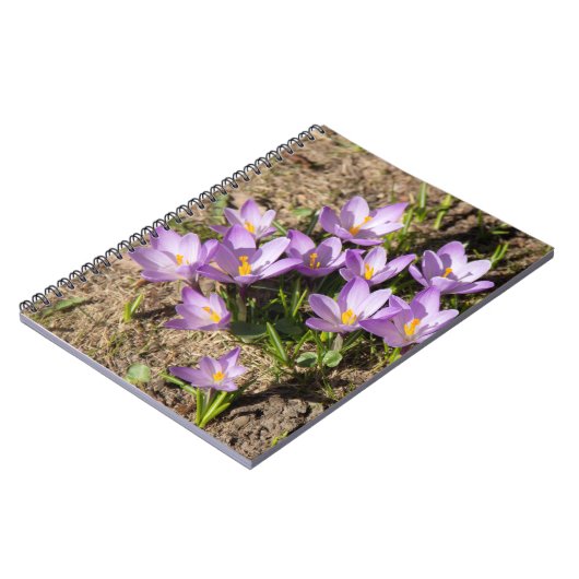 Carnet Crocus de printemps mignons (Côté gauche)