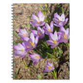 Carnet Crocus de printemps mignons (Devant)