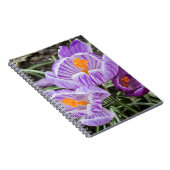 Carnet Crocus De Printemps Violet. (Côté Droit)