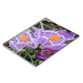 Carnet Crocus De Printemps Violet. (Côté gauche)