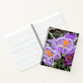 Carnet Crocus De Printemps Violet. (Intérieur)