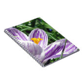Carnet Crocus de printemps violet (Côté Droit)