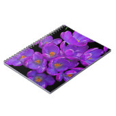 Carnet Crocus de printemps violets sur fond floral noir (Côté gauche)