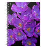 Carnet Crocus de printemps violets sur fond floral noir (Devant)