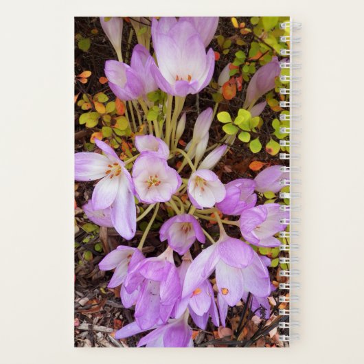 Carnet Crocus Floral d'automne violet (Verso)