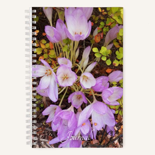 Carnet Crocus Floral d'automne violet (Recto)