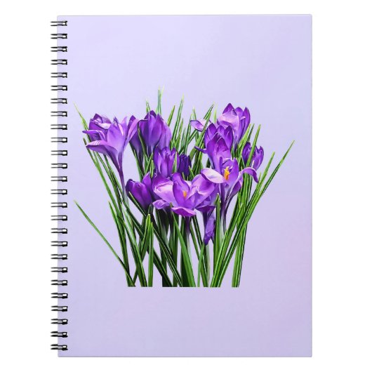 Carnet Crocus pourpres (Devant)