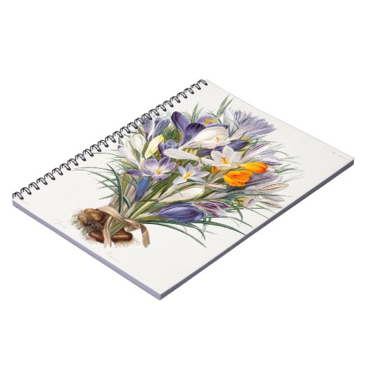 Carnet Crocus Spring Flower Botanique Floral Art (Côté gauche)