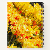 Carnet Croissance en or (Dos)