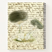 Carnet Croquis de champignon texte défondu boho en détres (Dos)