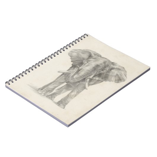 Carnet Croquis éléphant (Côté gauche)