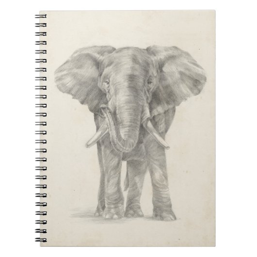Carnet Croquis éléphant (Devant)