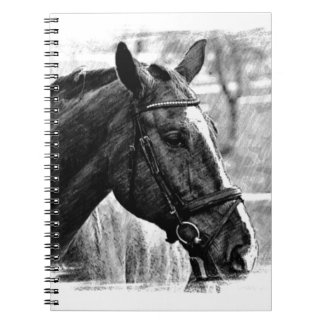 Carnet Croquis noir blanc