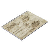 Carnet Croquis squelettiques humains de l'anatomie de da (Côté gauche)