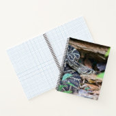 Carnet Crotale dans la nature (Intérieur)